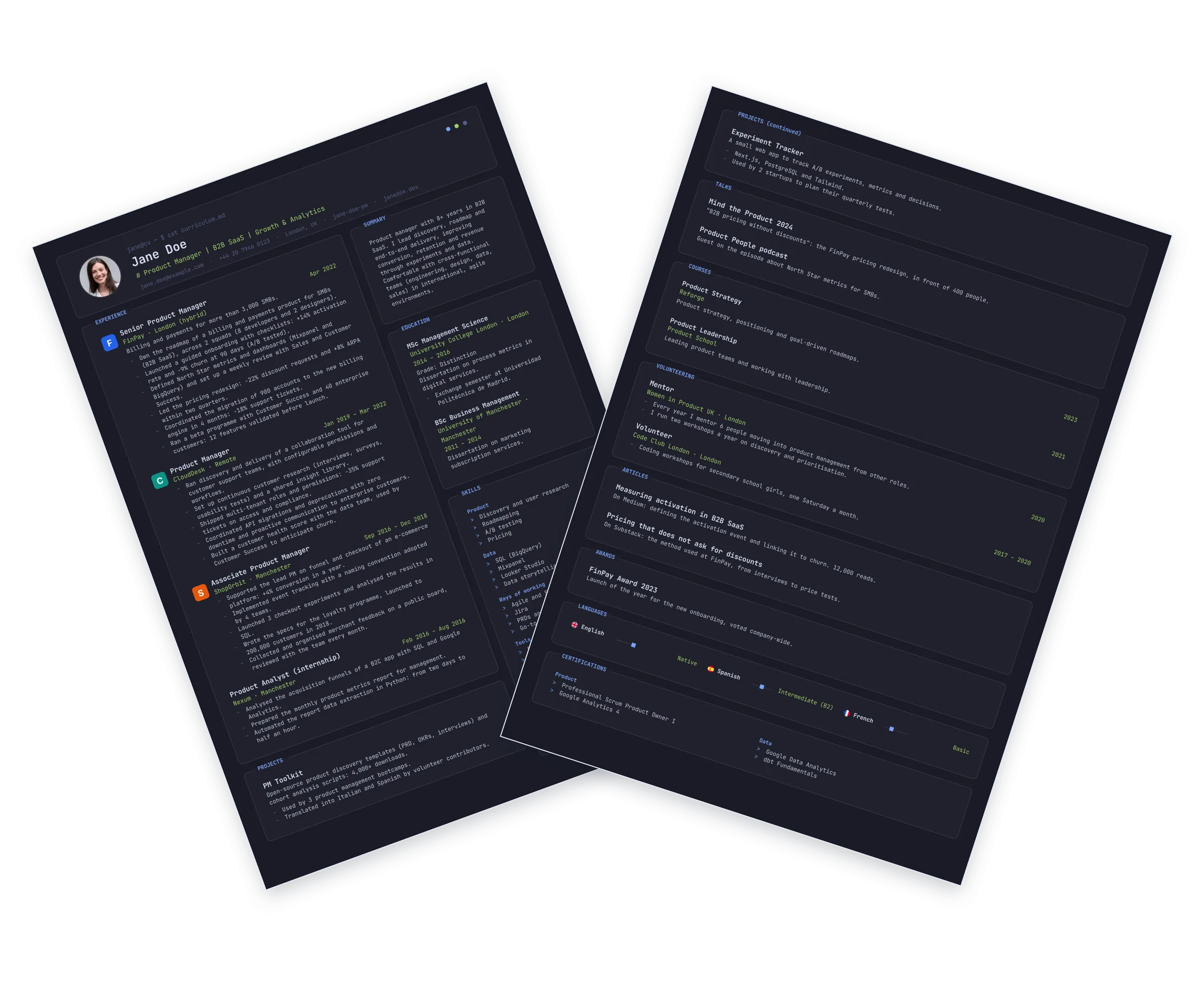 Sample CV with the Terminal template: dark side-by-side panels in a monospaced typeface
